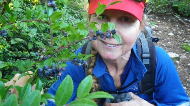 We ate loads of Evergreen Huckleberrys (Vaccinium ovatum) an old winter berry favored by the Nuu-chah-nulth.