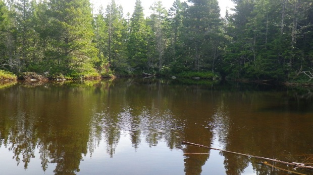 High country pond.