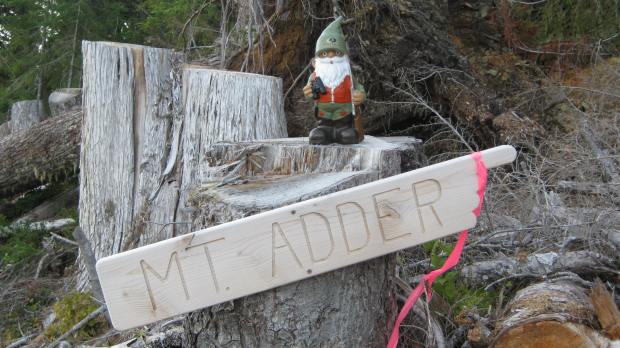 Ron's gnome came to the trailhead with us, but decided not to make the climb.